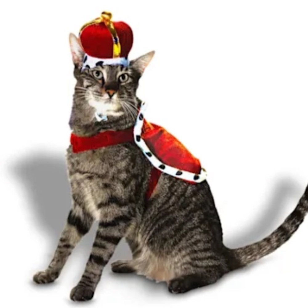 NWT king cat Halloween costume S/M